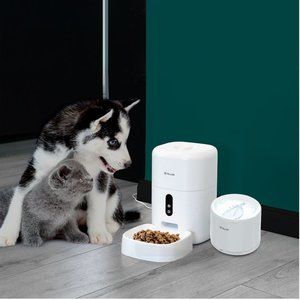 Smart WiFi Pet Water Dispenser, 2L, White